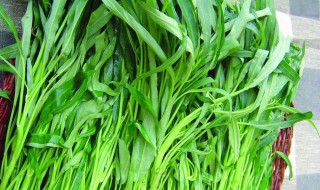 空心菜反季节可以吃吗 空心菜反季节可以吃吗