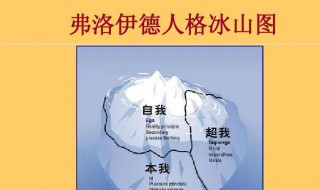 简述弗洛伊德的人格发展阶段理论 简述弗洛伊德的人格发展阶段理论答案