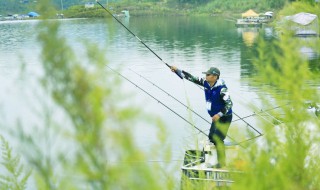 北方什么季节适合钓黑鱼（北方什么季节适合钓黑鱼呢）