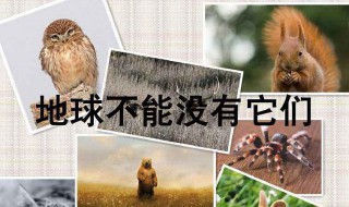保护野生动物的宣传标语 拟写保护野生动物的宣传标语