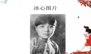 冰心简介是什么（冰心简绍）