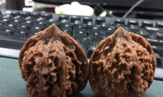 弄核桃手黑了怎么办（弄核桃手黑了快速变白）