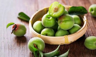 梅子是哪一个季节开的 梅子在什么季节开花结果