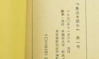 狂人日记主要内容 狂人日记主要内容30字