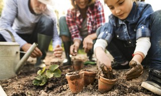 盆栽种子种植方法 盆栽种子种植方法图片