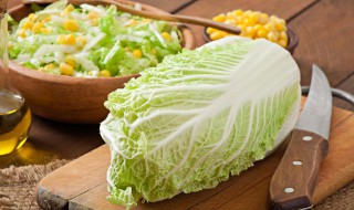 大白菜怎么做好吃菜谱 大白菜的100种菜谱