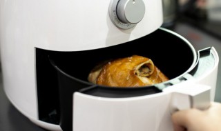 空气炸锅烤鸡腿的时间及温度 食材_空气炸锅烤鸡腿的时间及温度窍门
