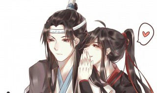 魔道祖师这本书主要是讲什么（魔道祖师主要讲了什么）