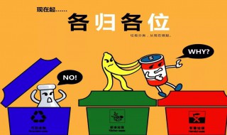 可回收垃圾有哪些 可回收垃圾有哪些物品图片