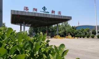 洛阳市建立于什么朝代（洛阳市建立于什么朝代之前）