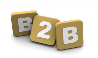 b2b的三种运营模式特点（b2b的运营模式）