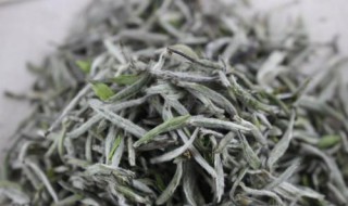 白毫银针是哪类茶（白毫银针是属于哪种茶）