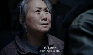 好看的剧情片（最适合情侣看的电影有哪些）