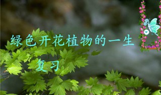 植物一生有哪六个阶段 植物一生有哪六个阶段图片