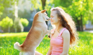 巴哥犬的优缺点（巴哥犬的优缺点有哪些）