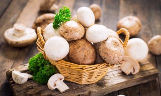 干磨菇怎么吃 野生干蘑菇的做法大全