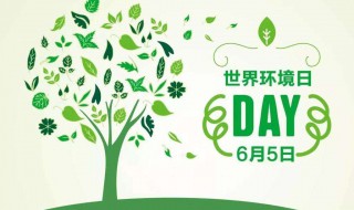 2020年是世界第几个环境日（世界环境日今年是第几个）