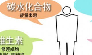 碳水蛋白质脂肪之间的关系 碳水化合物,蛋白质和脂肪三者之间的关系