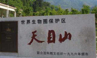 天目山在哪里 天目山在哪里属于哪个省