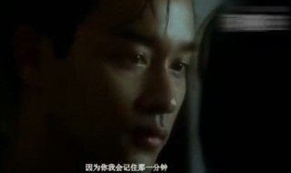 阿飞正传经典台词（阿飞正传经典台词独白）