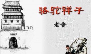 骆驼祥子章节概括（骆驼祥子章节概括简单）