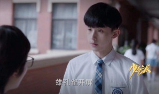 少年派大结局是什么 少年派大结局最后的那段话
