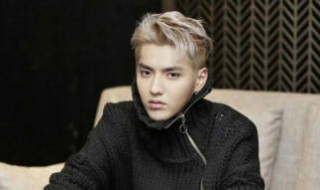 吴亦凡个人简介