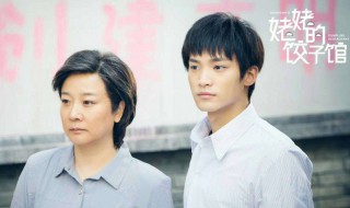 姥姥的饺子馆剧情介绍 姥姥的饺子馆剧情介绍演员表