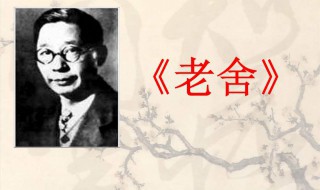 老舍代表作（老舍代表作品话剧有什么）