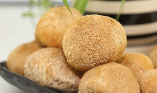 猴头菇的功效与作用 猴头菇的功效与作用图片