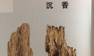 沉香功效与作用 沉香功效与作用功