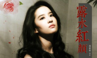 刘亦菲和rain拍的电影叫什么名字啊（刘亦菲跟rain演的一部剧）