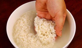 糯米泡多久可以包粽子（一斤糯米能包几个粽子）