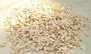 黄瓜籽的功效与作用 黄瓜籽的功效与作用与主治与用量