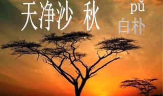 青山绿水下一句是什么 青山绿水下一句是什么,江湖再见?