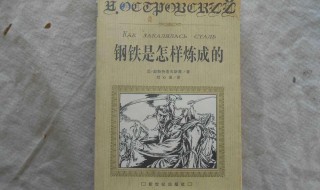 钢铁是怎样炼成的介绍 钢铁是怎样炼成的介绍词