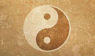 八字食伤过旺的人怎么样（八字食伤旺什么意思）
