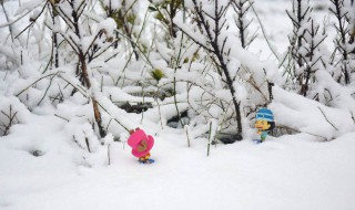 下雪的诗句（形容夏季下雪的诗句）