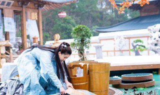赵露思个人资料（赵露思个人资料简介）