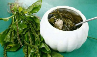 荠菜根泡水喝有什么作用 荠菜根泡水喝有什么作用与功效