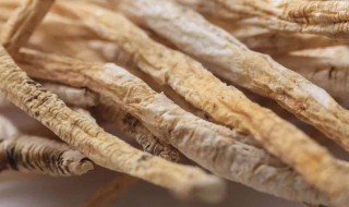 白术攻效与作用是什么 白术功能与主治