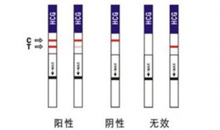 试纸怎么用（试纸怎么用教程）