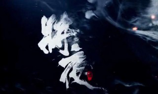 将夜为什么破了五境就会死（将夜为什么破了五境就会死夫子还在）