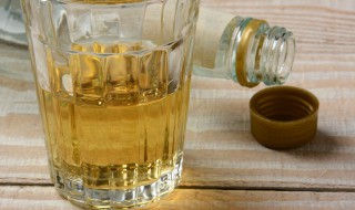 肉苁蓉泡酒怎么做 肉苁蓉怎么泡酒最好