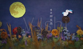 中秋节的诗句古诗大全 小学中秋节的诗句古诗大全