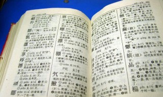 中国第一部词典是什么（中国第一部词典是什么书）