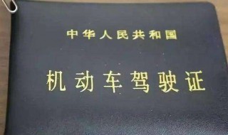 怎么查询驾驶证状态 网上怎么查询驾驶证状态