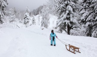 小雪代表什么寓意（小雪代表什么寓意吃点什么好小雪以后可以种青菜吗?）