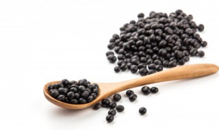 生黑豆的功效与作用 生黑豆的功效与作用禁忌