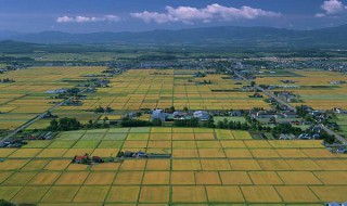 四大平原四大盆地 四大平原四大盆地三大平原的特点